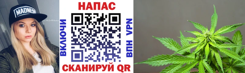 мега вход  Светлогорск  Марихуана White Widow 